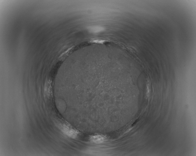 X0000080670511200612221120