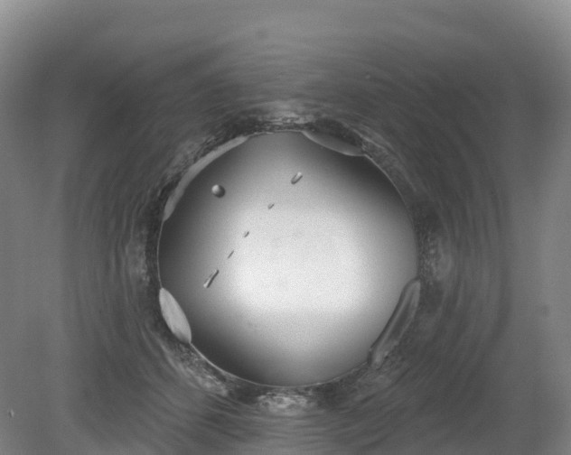 X0000080670512200612221120