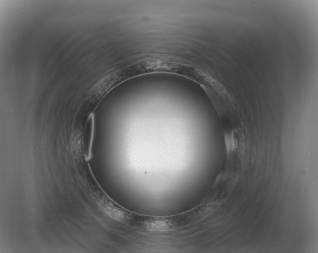 X0000080670513200612221120