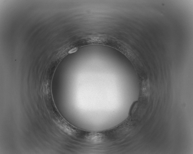 X0000080670514200612221120