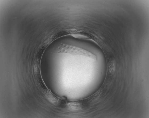 X0000080670515200612221120