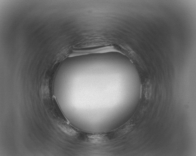 X0000080670516200612221120