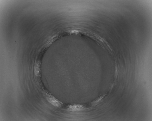 X0000080670517200612221120