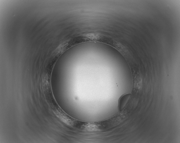 X0000080670518200612221120