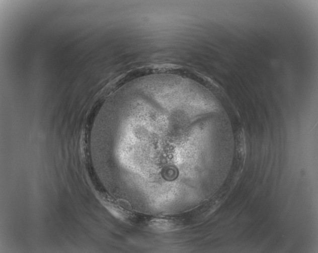 X0000080670519200612221120