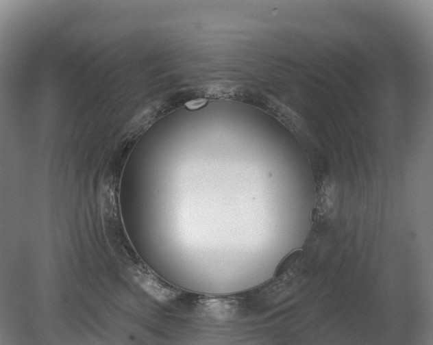 X0000080670522200612221120