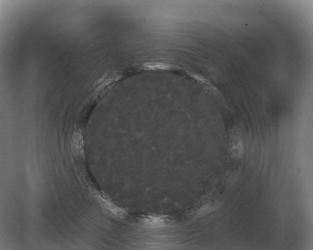 X0000080670523200612221120