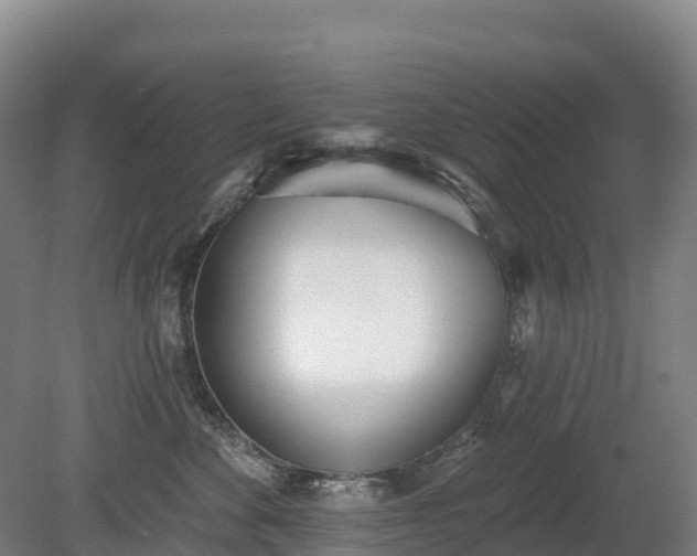 X0000080670524200612221120