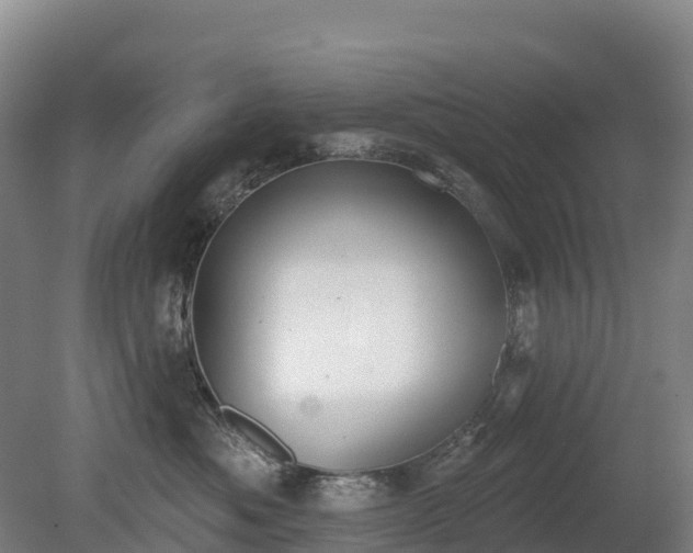 X0000080670525200612221120