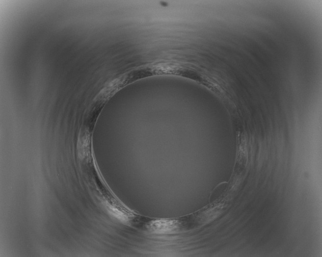 X0000080670526200612221120