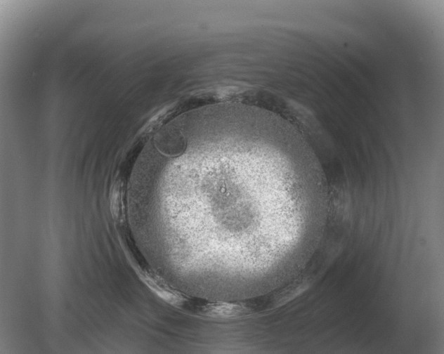 X0000080670527200612221120