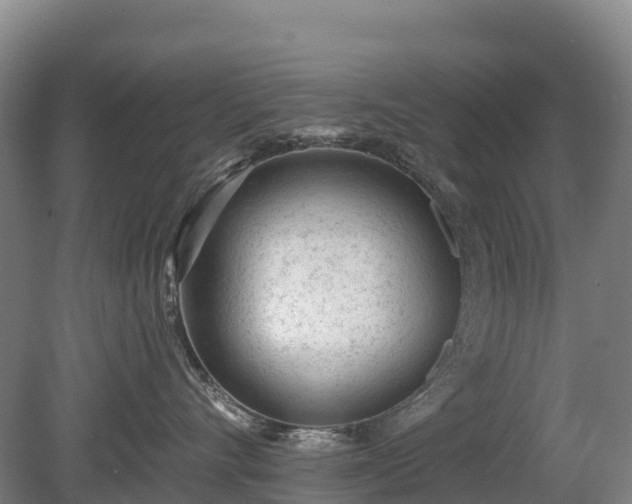 X0000080670528200612221120