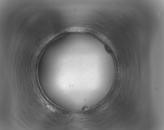 X0000080670529200612221119