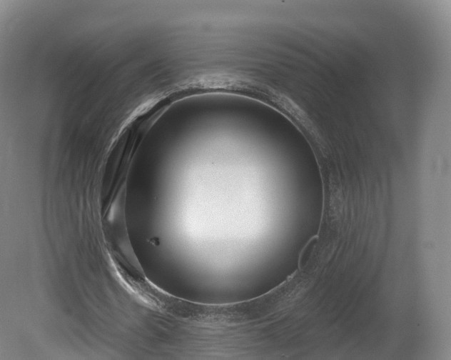 X0000080670530200612221119