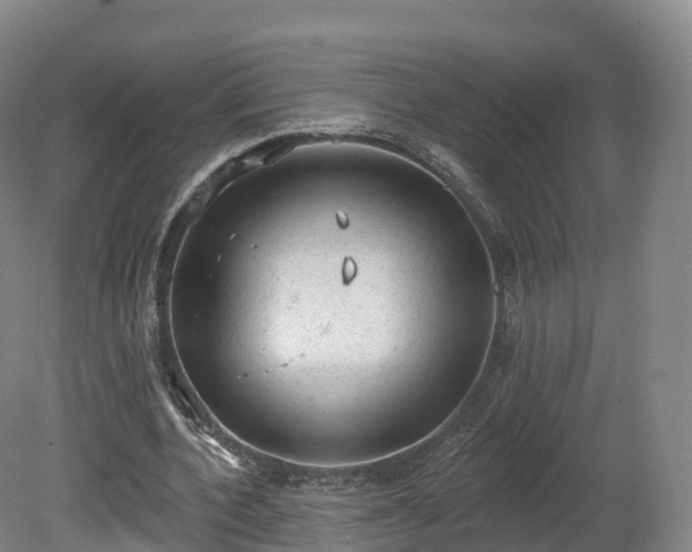 X0000080670532200612221119