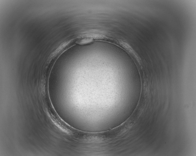 X0000080670533200612221119