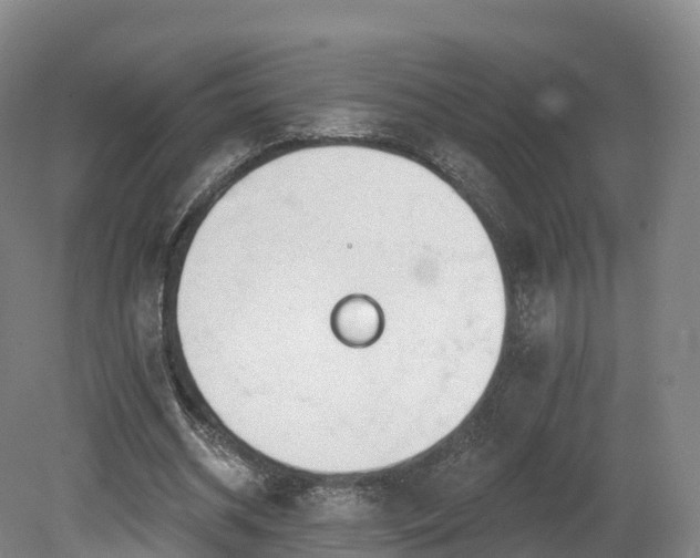 X0000080670534200612221119