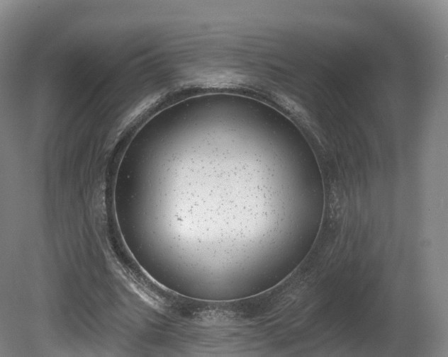 X0000080670535200612221119