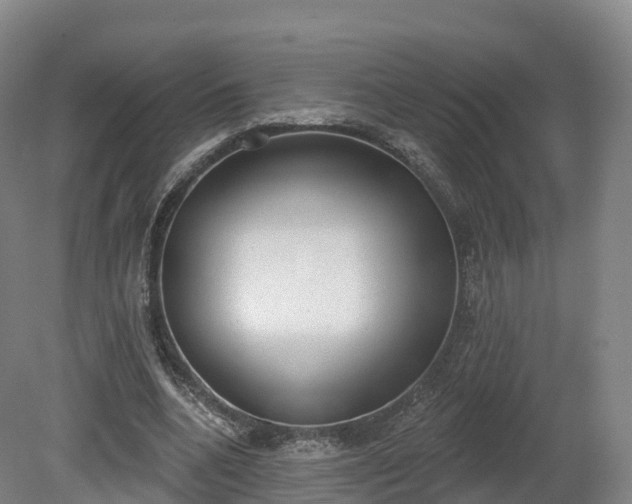 X0000080670536200612221119