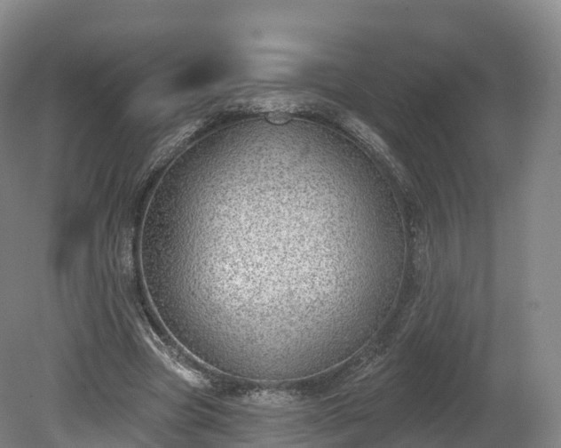 X0000080670537200612221119