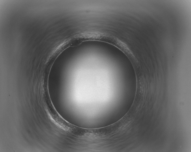 X0000080670538200612221119