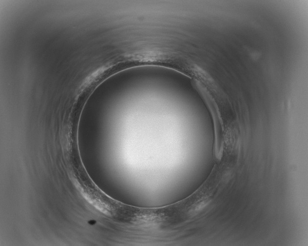 X0000080670540200612221119