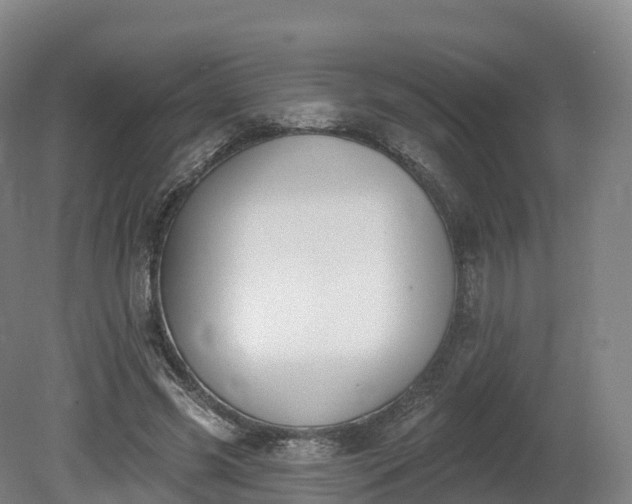 X0000080670541200612221119