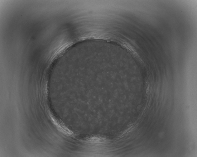 X0000080670542200612221119