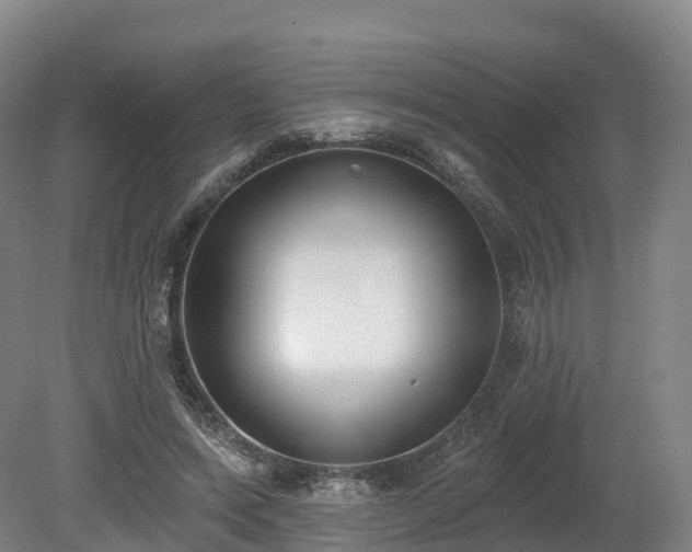 X0000080670543200612221119