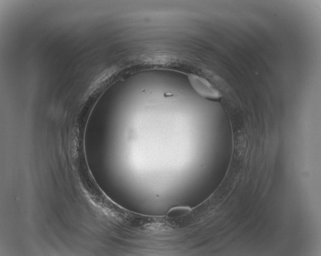 X0000080670544200612221119