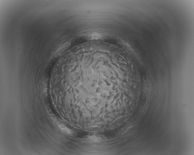 X0000080670545200612221119