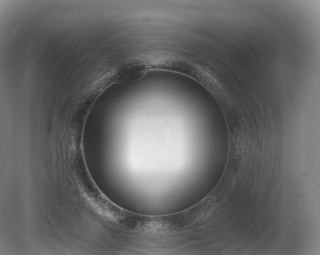 X0000080670546200612221119