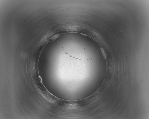 X0000080670548200612221119