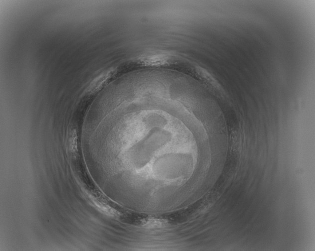 X0000080670549200612221119