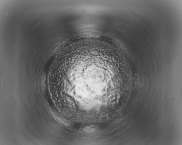 X0000080670550200612221119