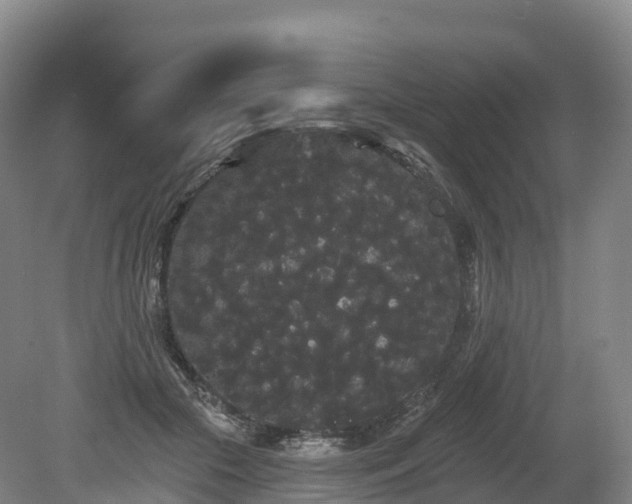 X0000080670553200612221119