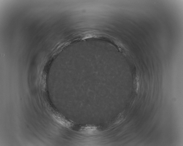 X0000080670554200612221119