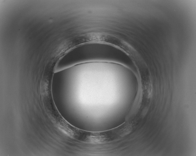 X0000080670556200612221119