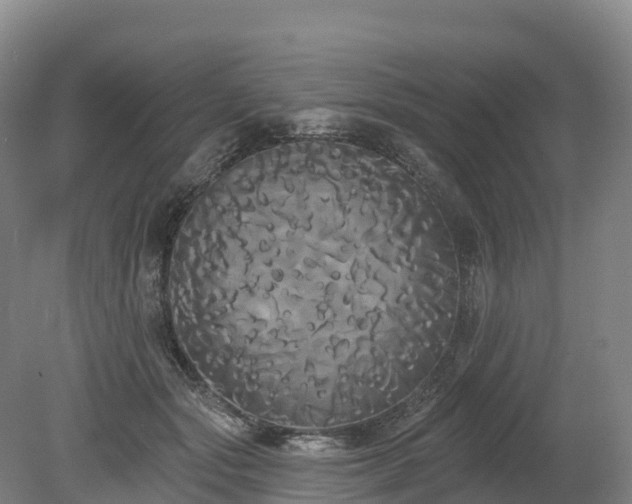 X0000080670557200612221120