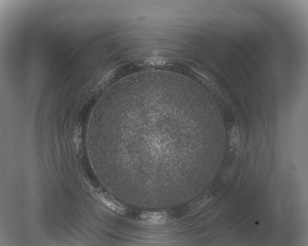 X0000080670559200612221120