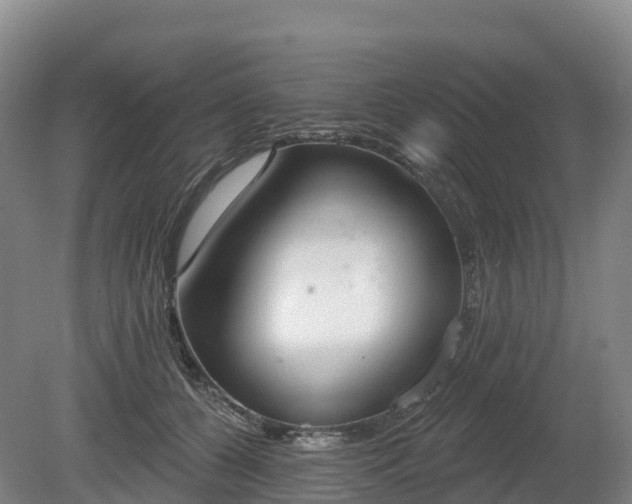 X0000080670560200612221120