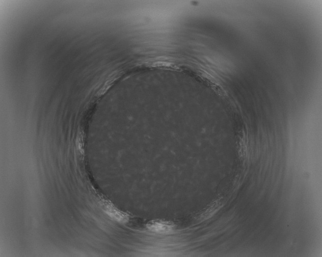 X0000080670561200612221120