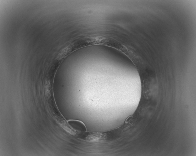 X0000080670563200612221120