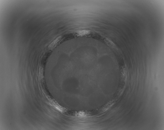 X0000080670565200612221120