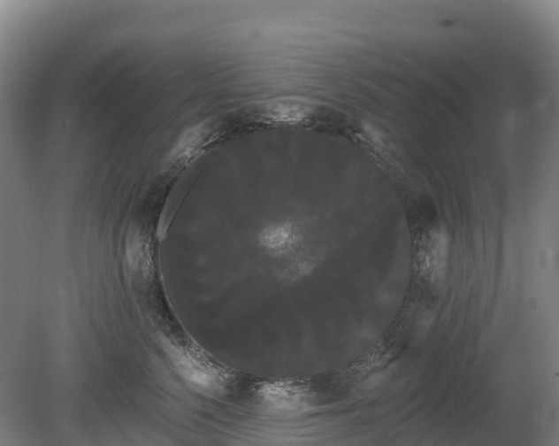 X0000080670568200612221120