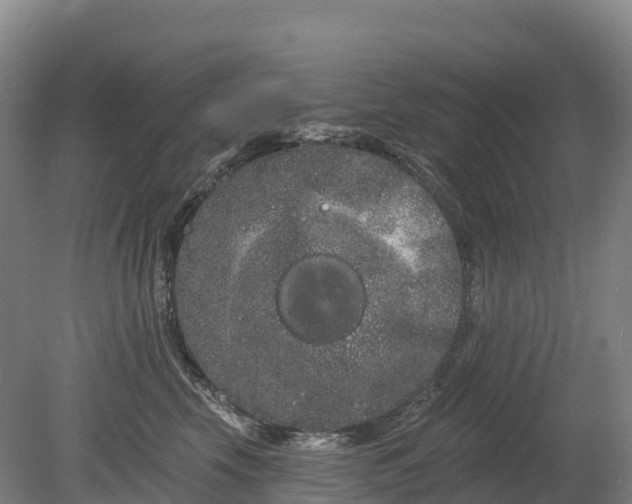 X0000080670569200612221120