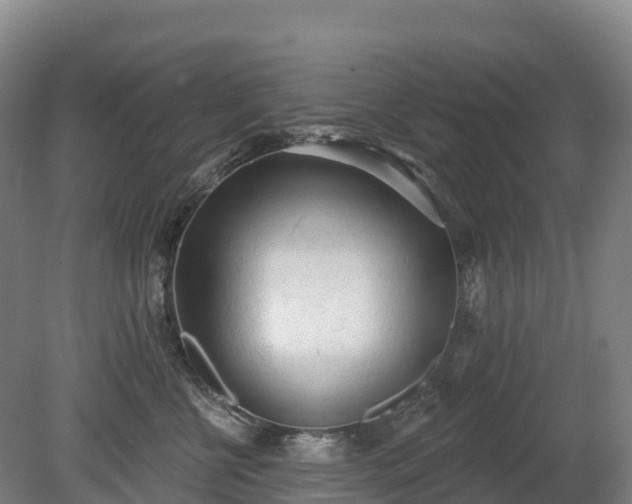 X0000080670570200612221120