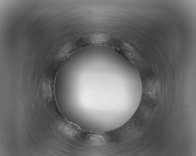 X0000080670572200612221120