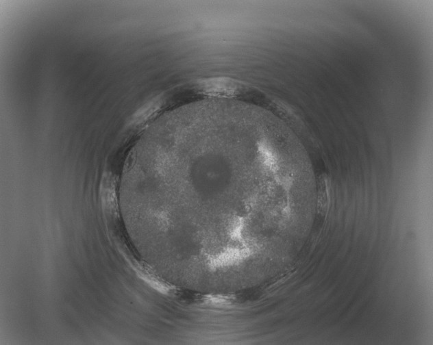 X0000080670573200612221120