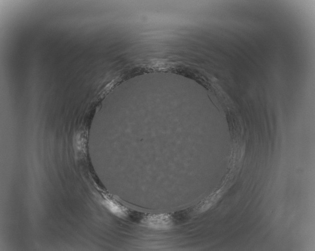 X0000080670576200612221120